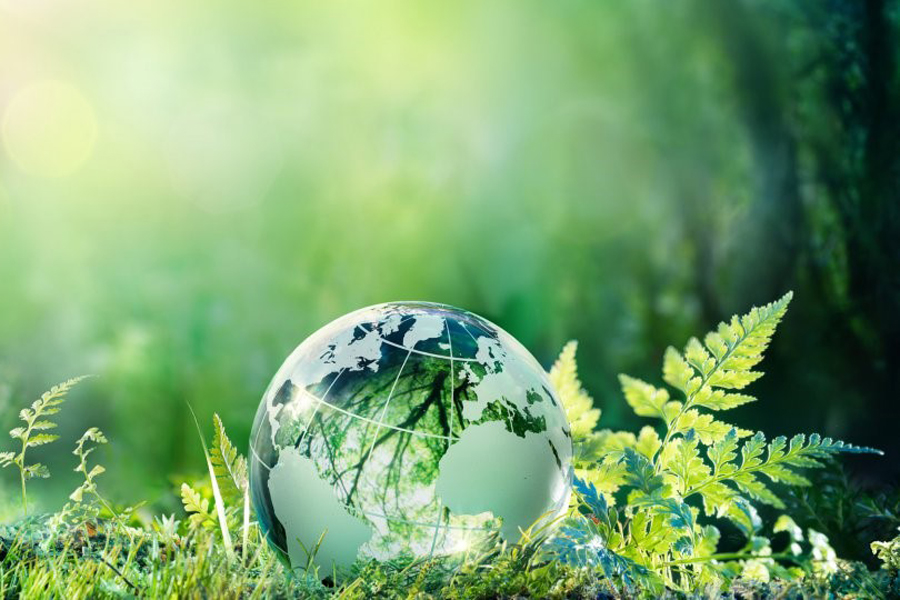 Sustainability and Managed Print Services